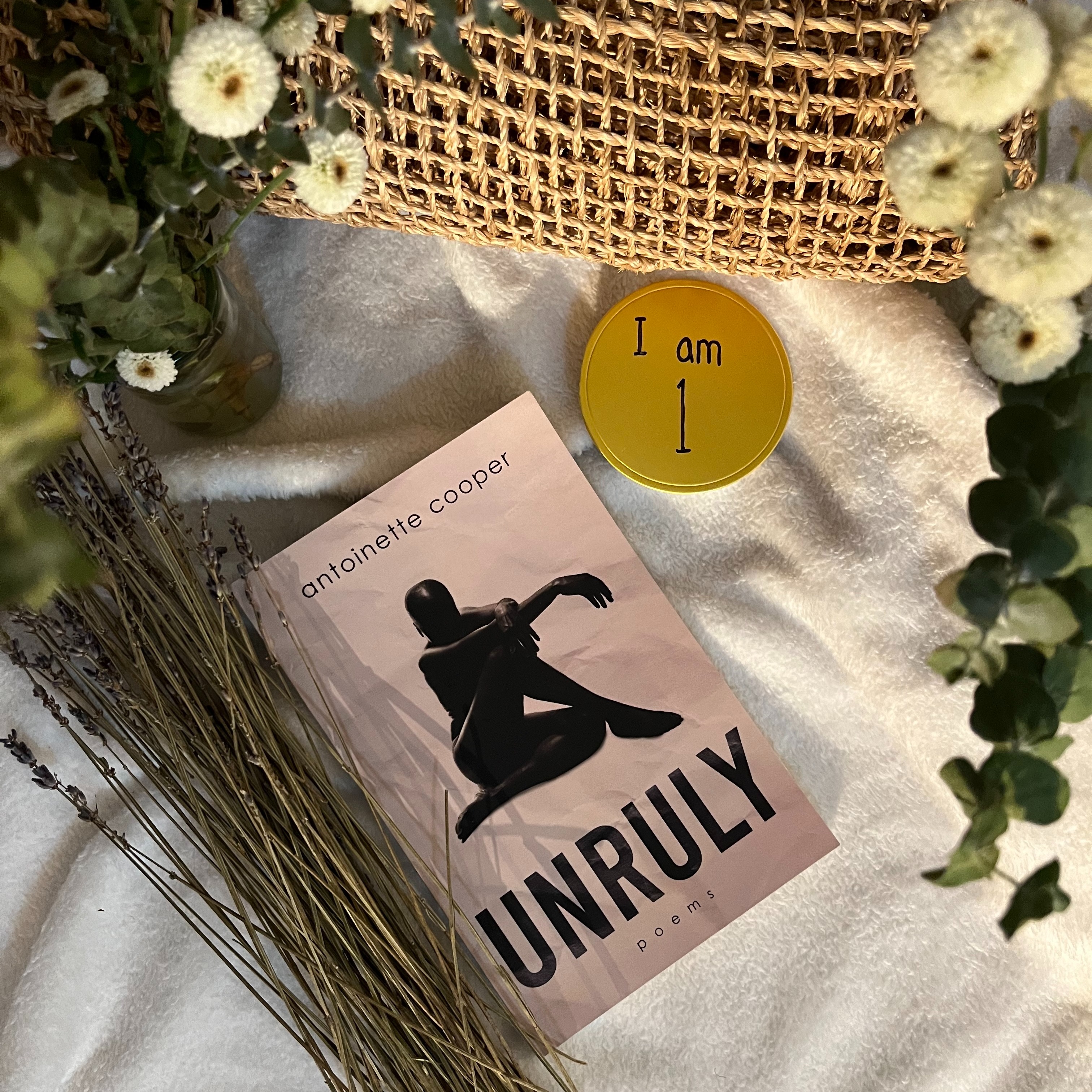 UNRULY: First Year Impact . ݁₊ ⊹ . ݁˖ . ݁ thumbnail