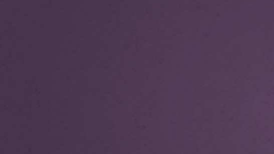 BioSite banner for @seashells