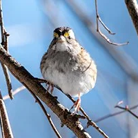 Subscribe to our Newsletter! thumbnail