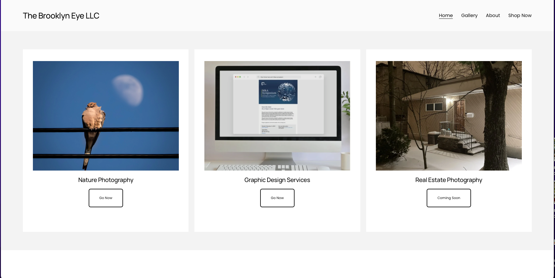 The Brooklyn Eye - Home Page thumbnail