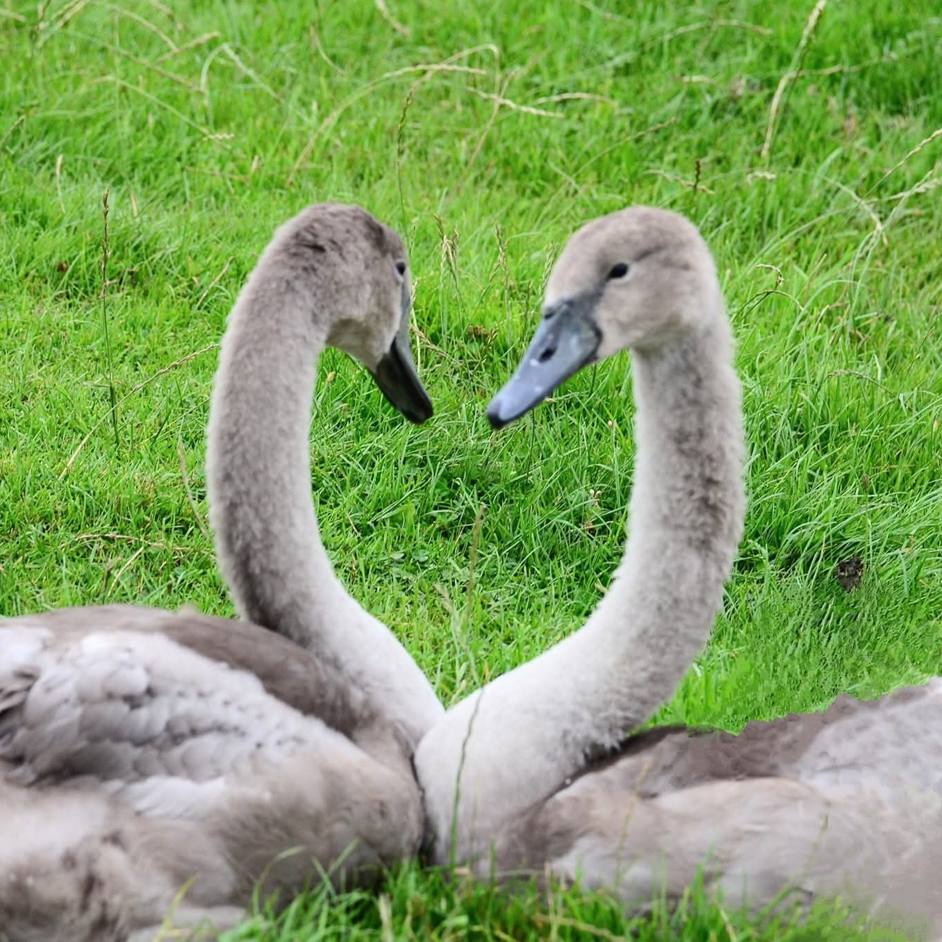 Rate my photography thumbnail