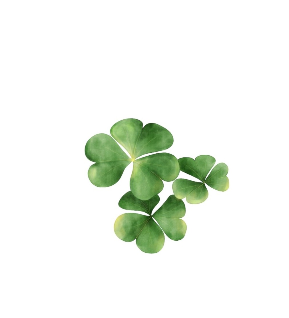 St. Patricks Special- Corned Beef Sandwich | March 13th - 17th thumbnail