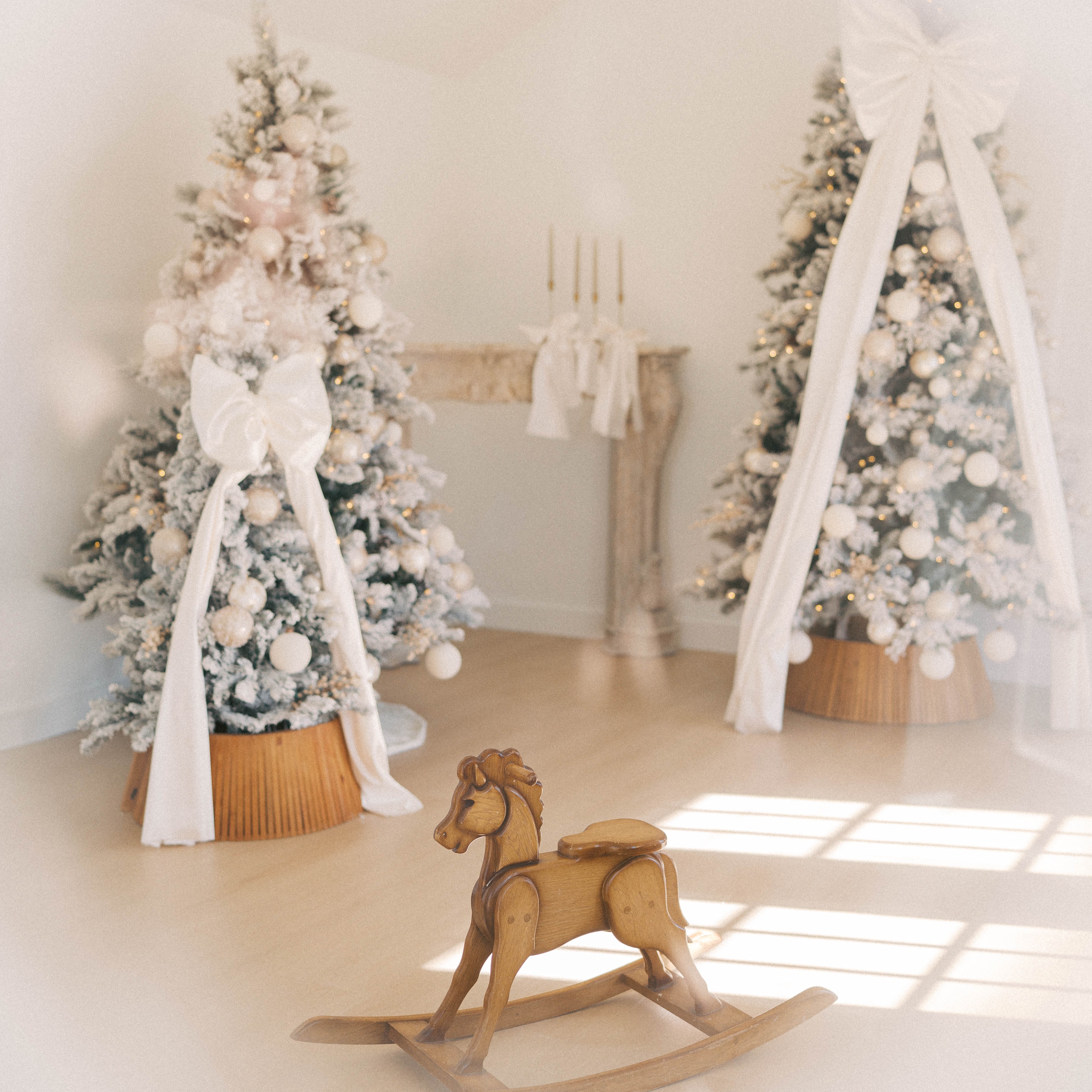 CHRISTMAS SMALL SESSIONS | 11.9 11.16 & 11.30 thumbnail