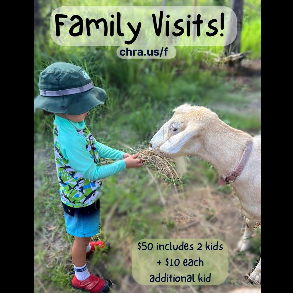 Schedule a Family Visit! thumbnail