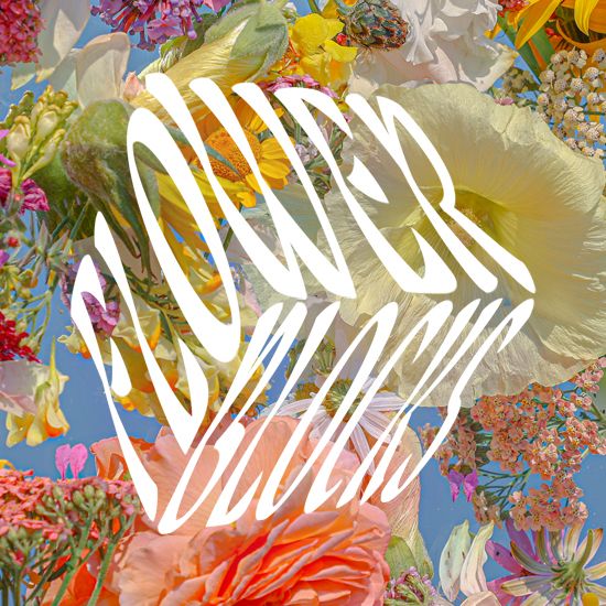 Joe Horner Phone Case | RHINOSHIELD UK thumbnail