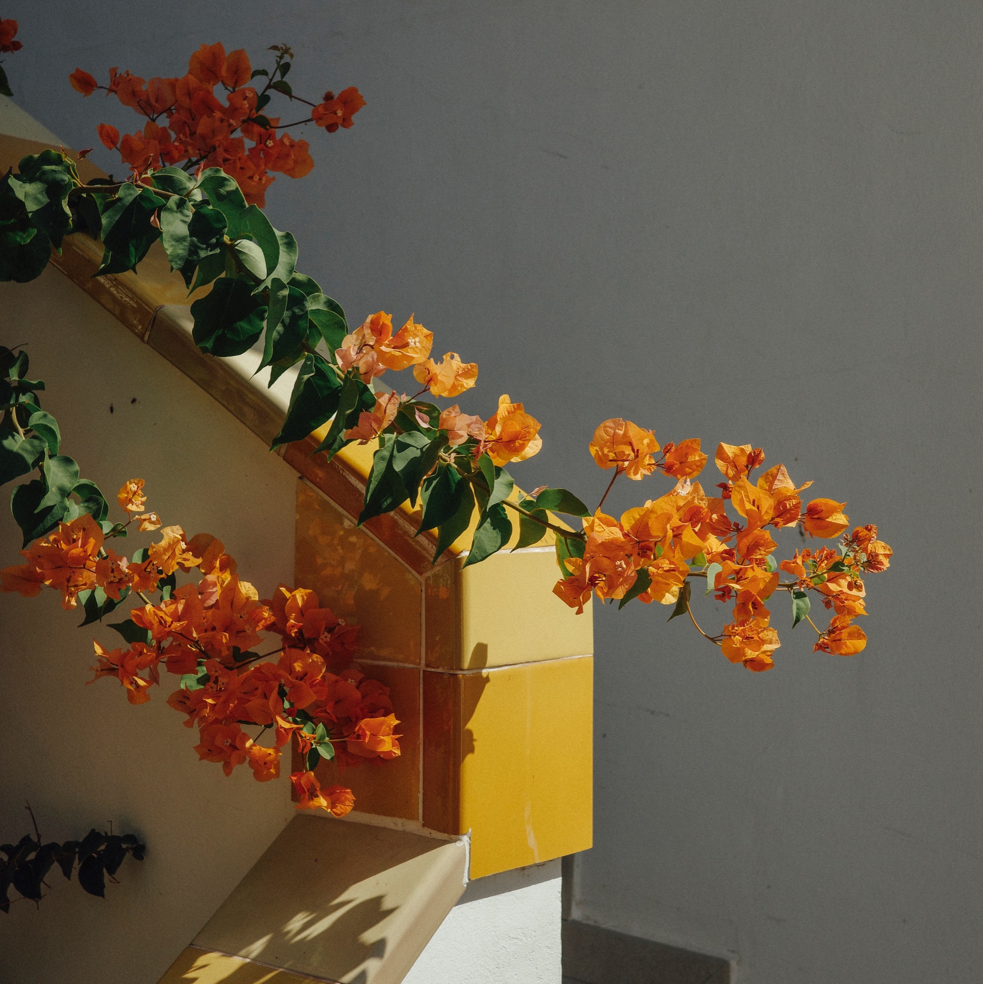 Photography Portfolio thumbnail