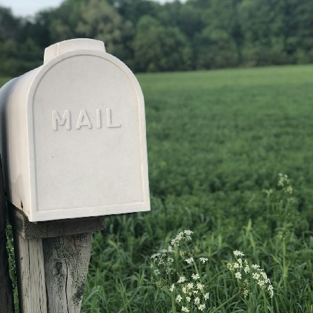 Newsletter thumbnail