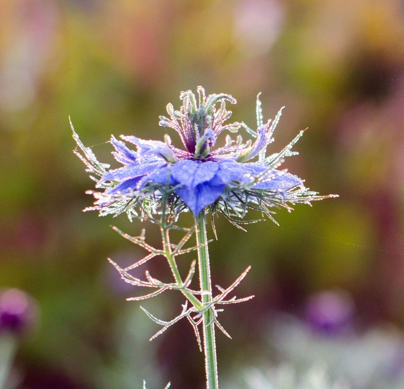 Photography thumbnail