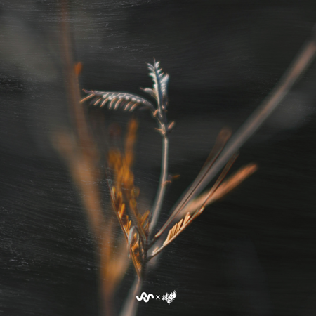 The Quietest Part EP thumbnail