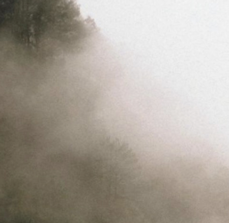 Spotify Playlist  thumbnail