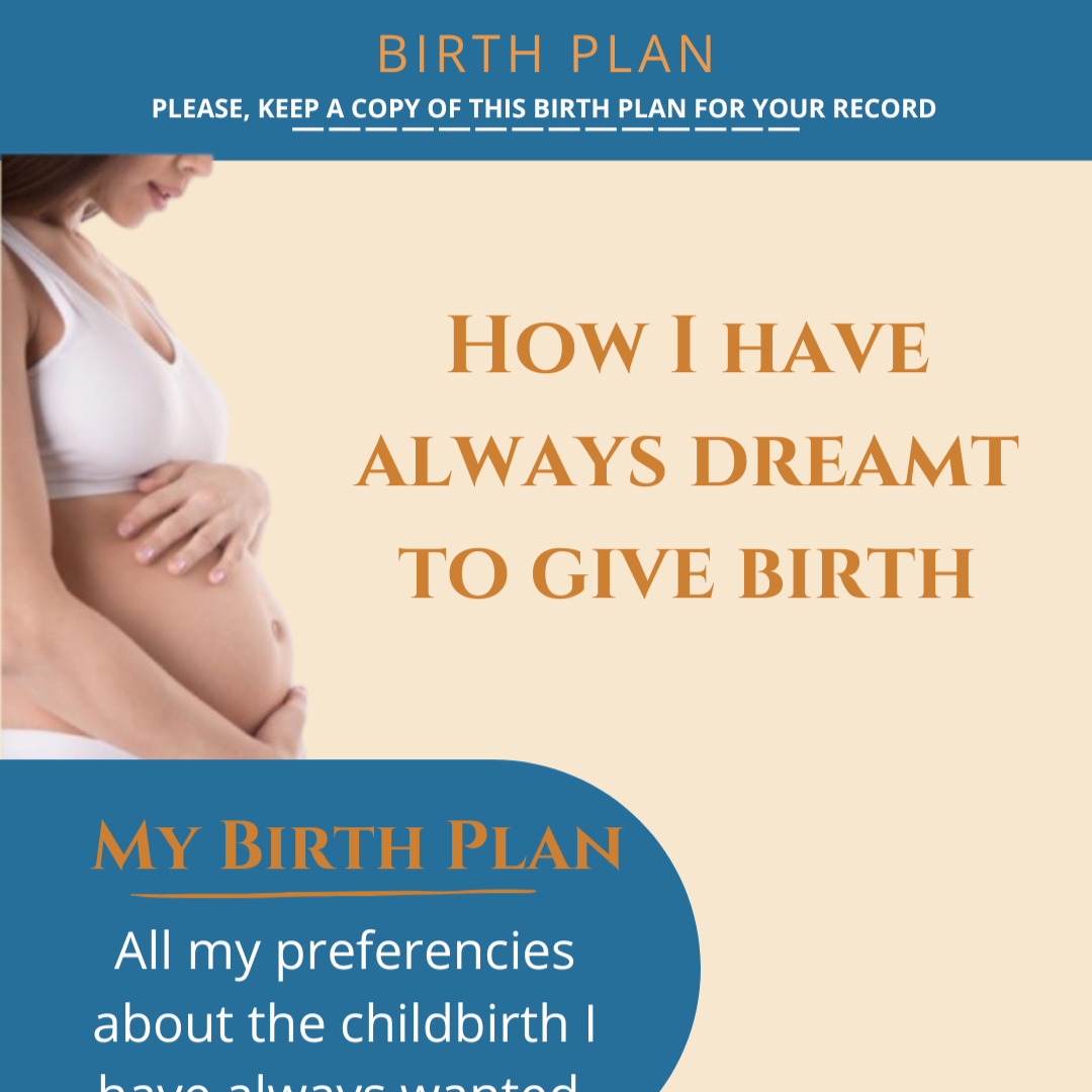 The Birth Plan Bundle thumbnail