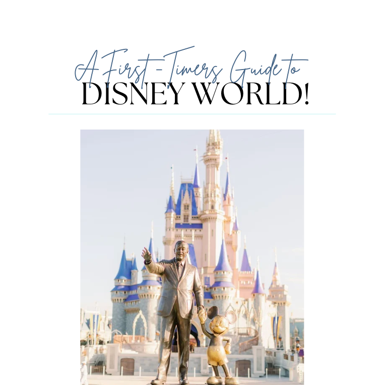 Receive My Disney World Guide for First-Timers! thumbnail