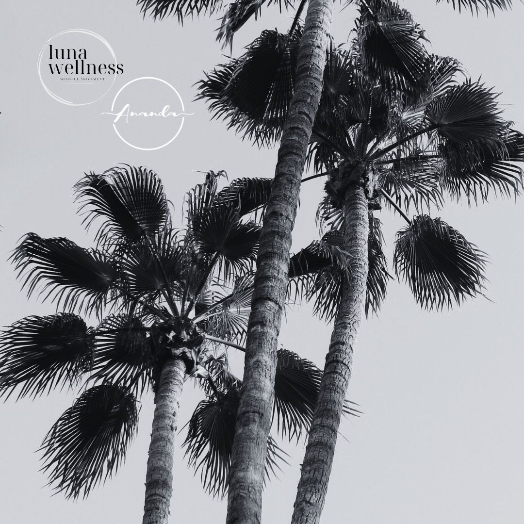 Observe Urban Retreat Port Macquarie thumbnail