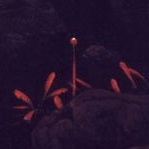 Bio thumbnail