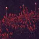 Visual Art thumbnail