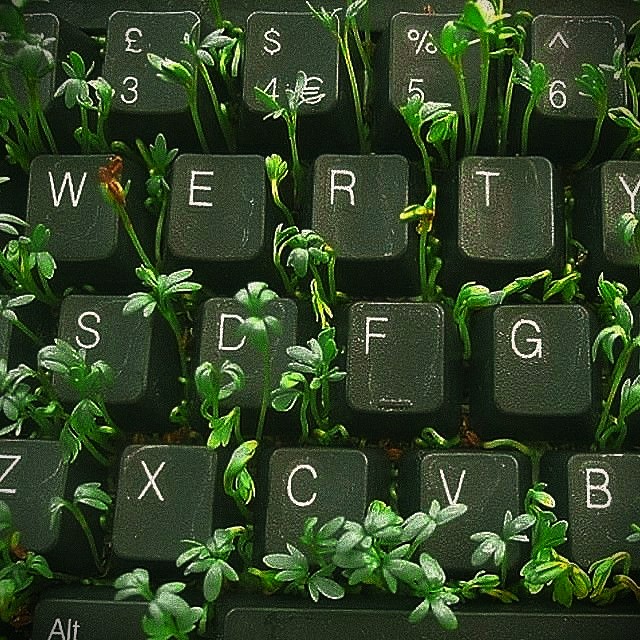 Medium Musings thumbnail