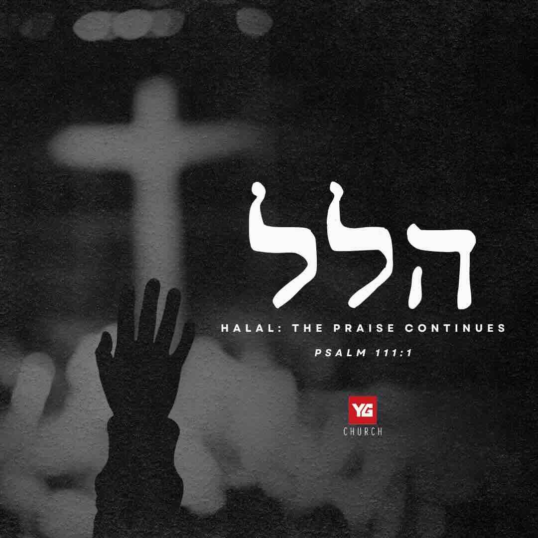 HALAL set list on Spotify thumbnail