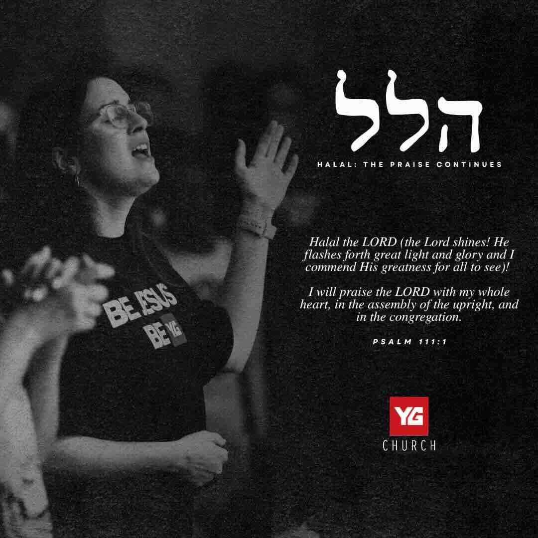 HALAL set list on Apple Music thumbnail