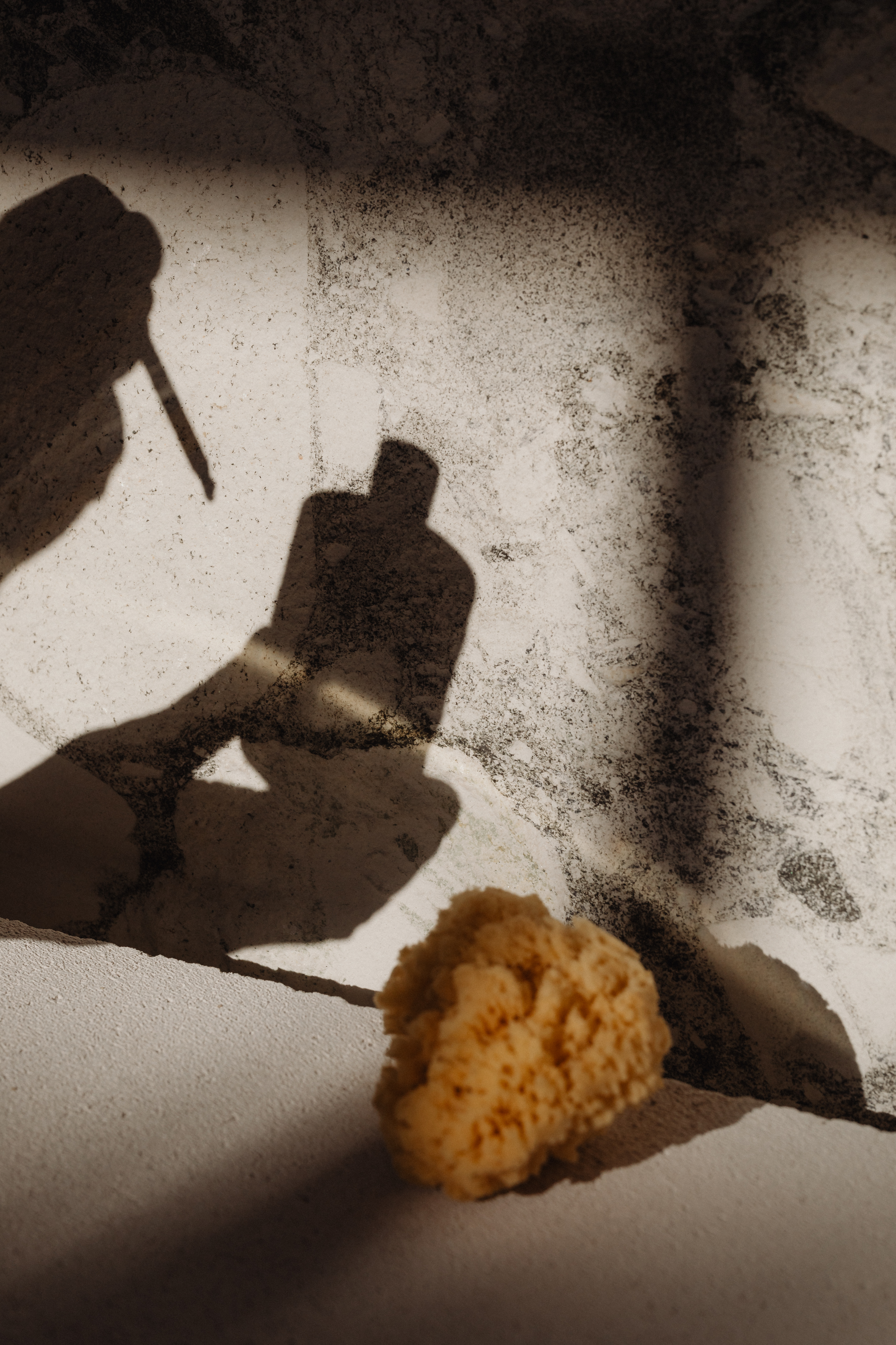 Essential Oils 👉🏼 [25% off] thumbnail