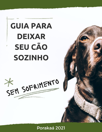 Cão Sozinho Sem Sofrimento thumbnail