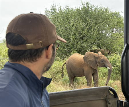 Pré-lançamento: Safari por conta própria no Kruger thumbnail