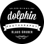 Facebook | dolphin photography thumbnail