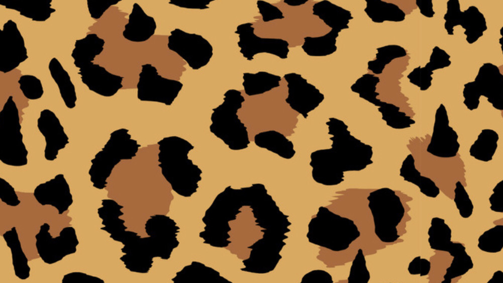 BioSite banner for @lumpy