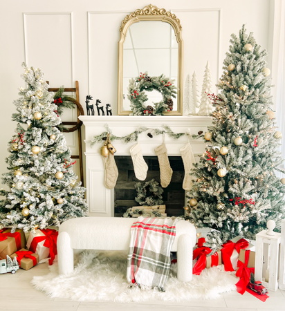 Studio Holiday Mini Session thumbnail