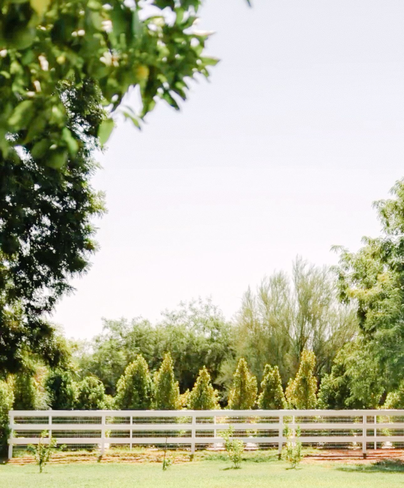 SOLD OUT-Bloomstead- Farm/Barnhouse Mini sessions  thumbnail