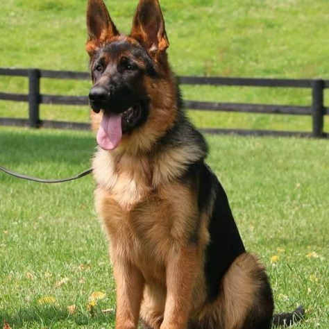 Banho G - A partir de thumbnail