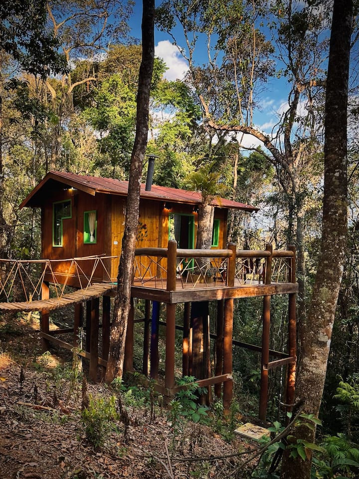 🌳 Sequoia Casa na Árvore thumbnail