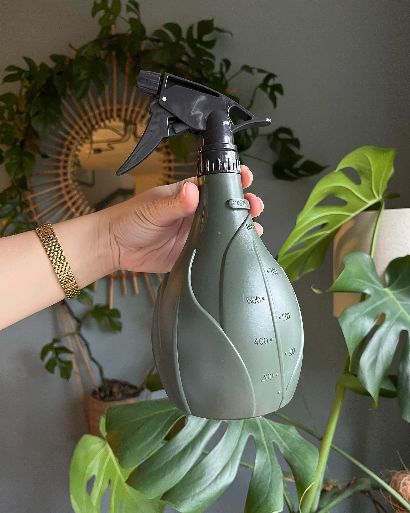 My secret weapon 🔫💦

Cute, practical and heavy duty - what more could you want in a trigger sprayer?

The Hozelock Decor