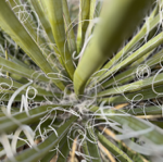 ⚡️Book a Free Coaching Consult⚡️ thumbnail