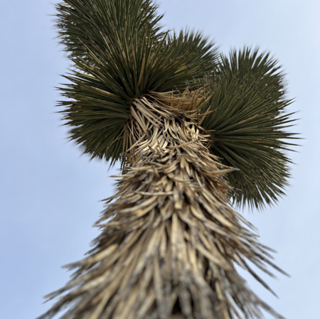 $0 Goal Getter Masterclass thumbnail