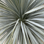 Work w/ Me thumbnail