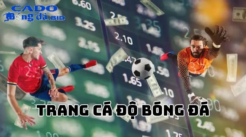 Cá Độ Bóng Đá thumbnail