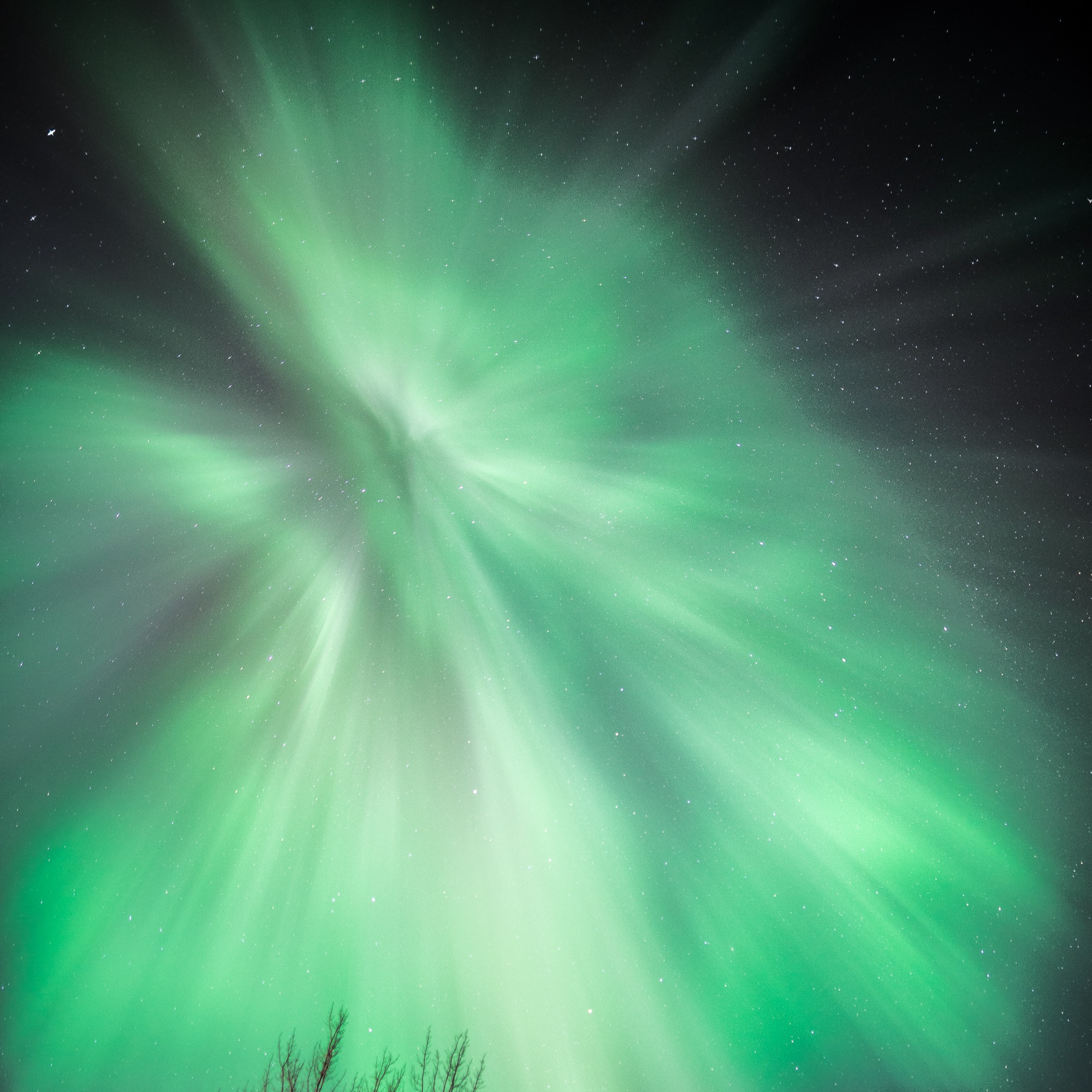 Seeking Northern Lights photo tour Ylläs - Safartica thumbnail