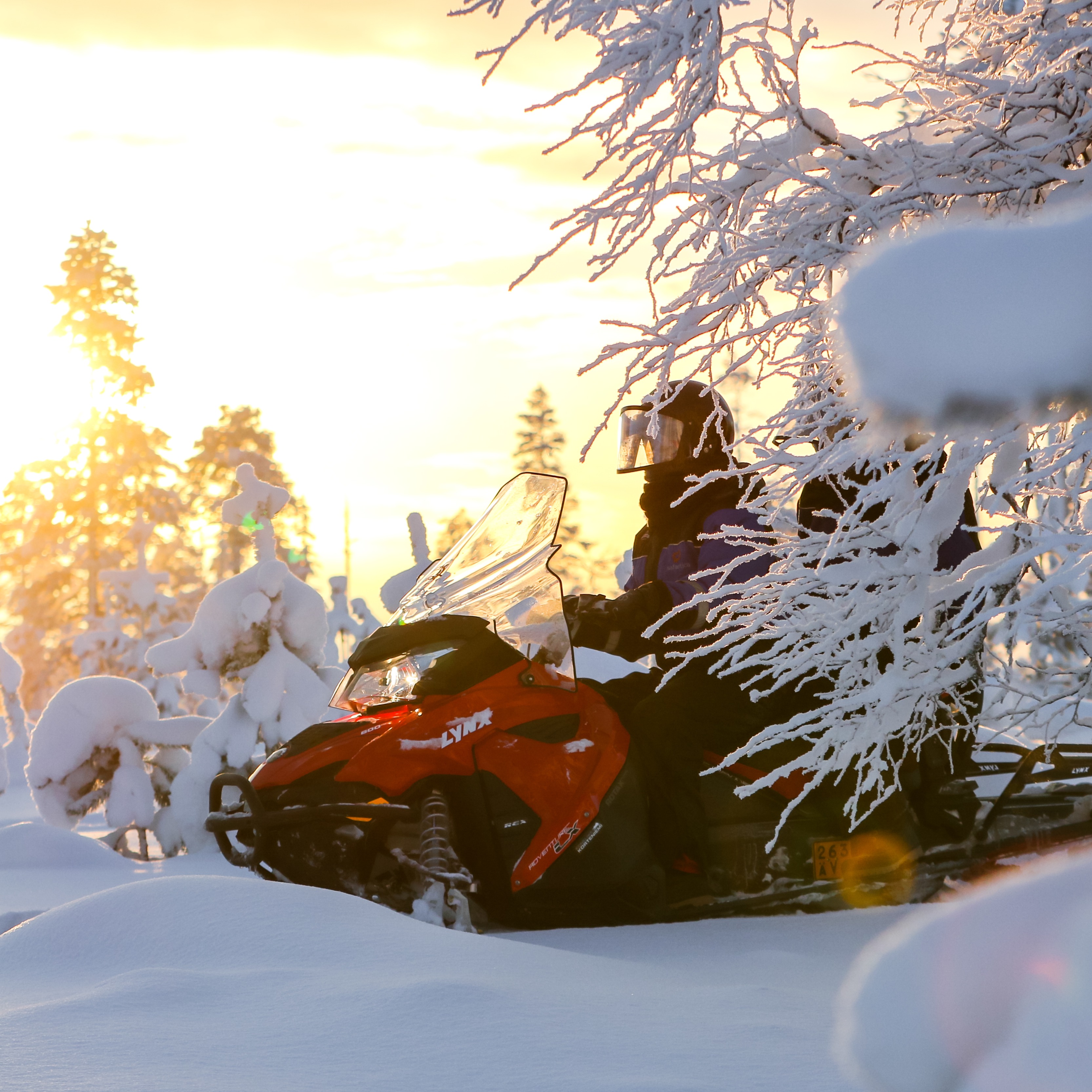 Escape to Wilderness - Full Day Snowmobile Safari in Ylläs thumbnail