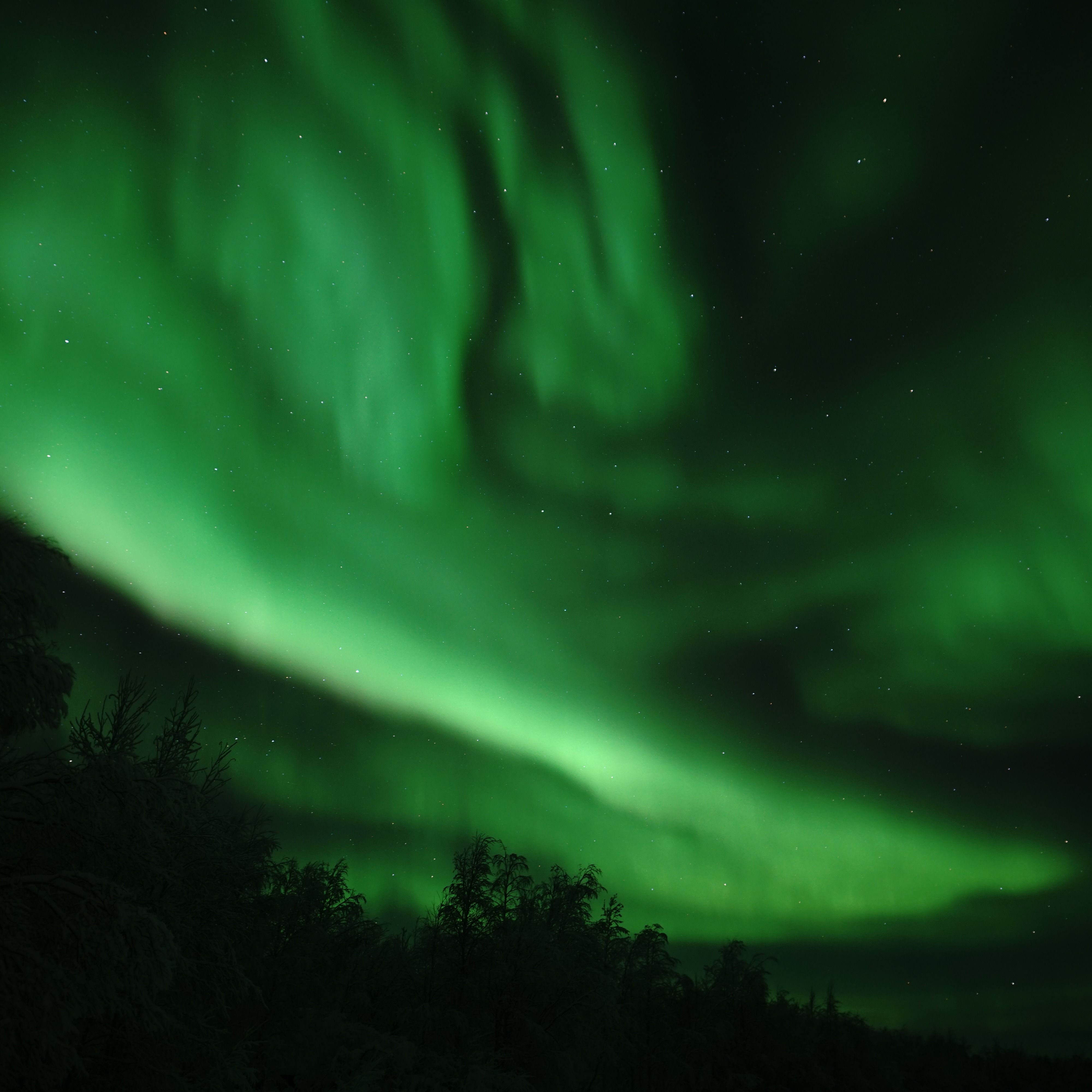 ALL TIME FAVOURITE: Northern lights campfire in Levi thumbnail