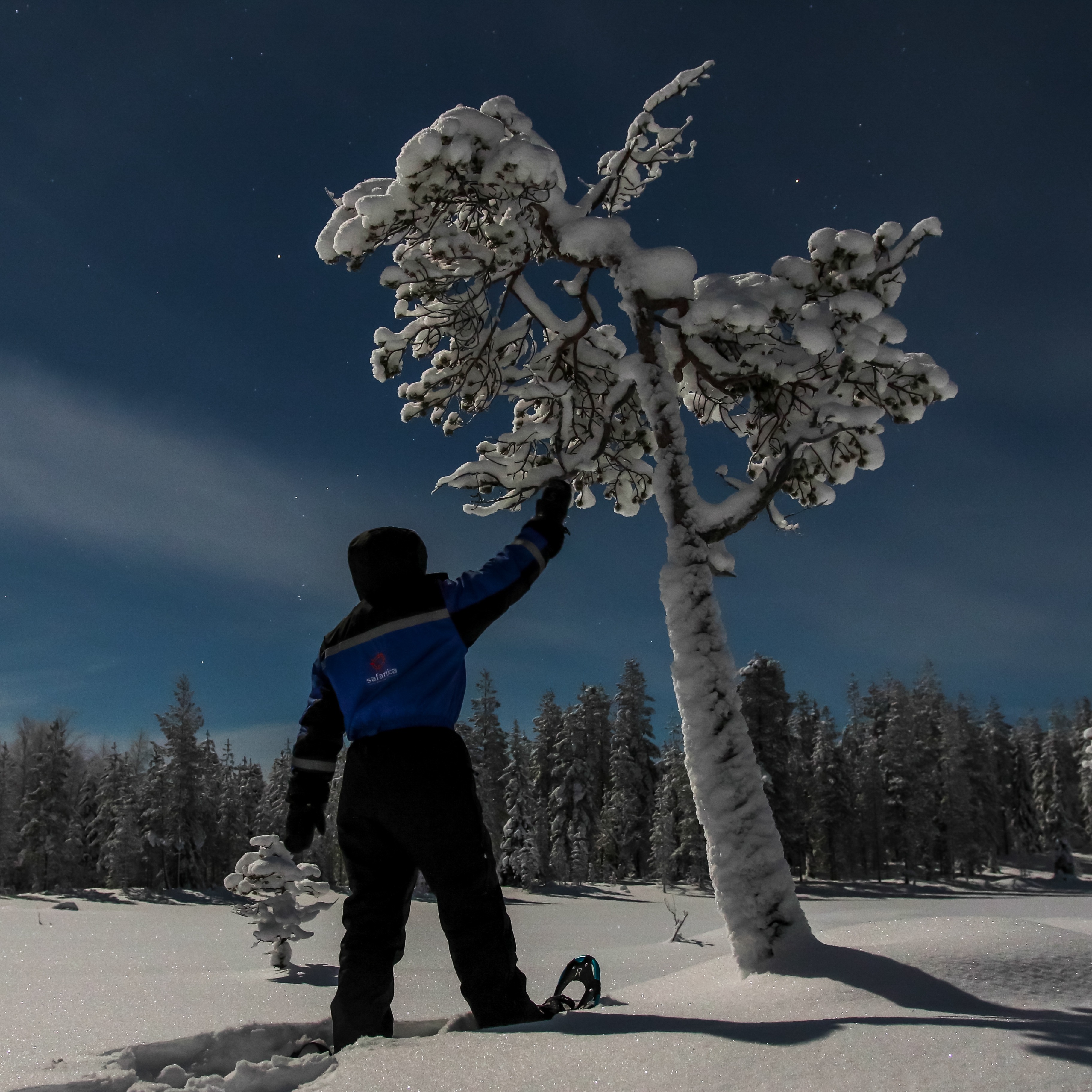 UNIQUE: Northern Lights Hunting by Snowshoes in Saariselkä thumbnail