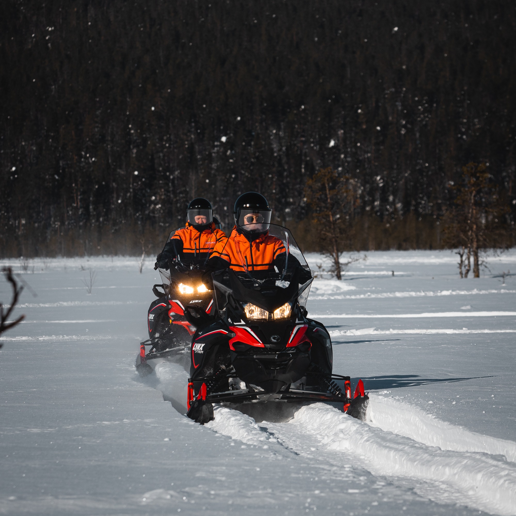 POPULAR: Easy snowmobile safari into the nature in Levi thumbnail