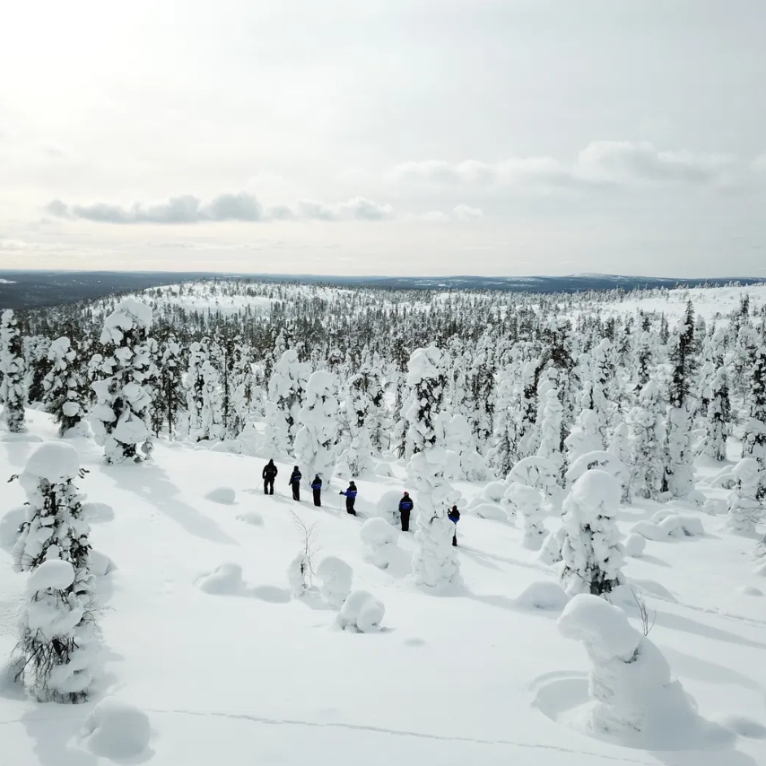 UNIQUE: Day in wilderness by traditional forest skis  thumbnail