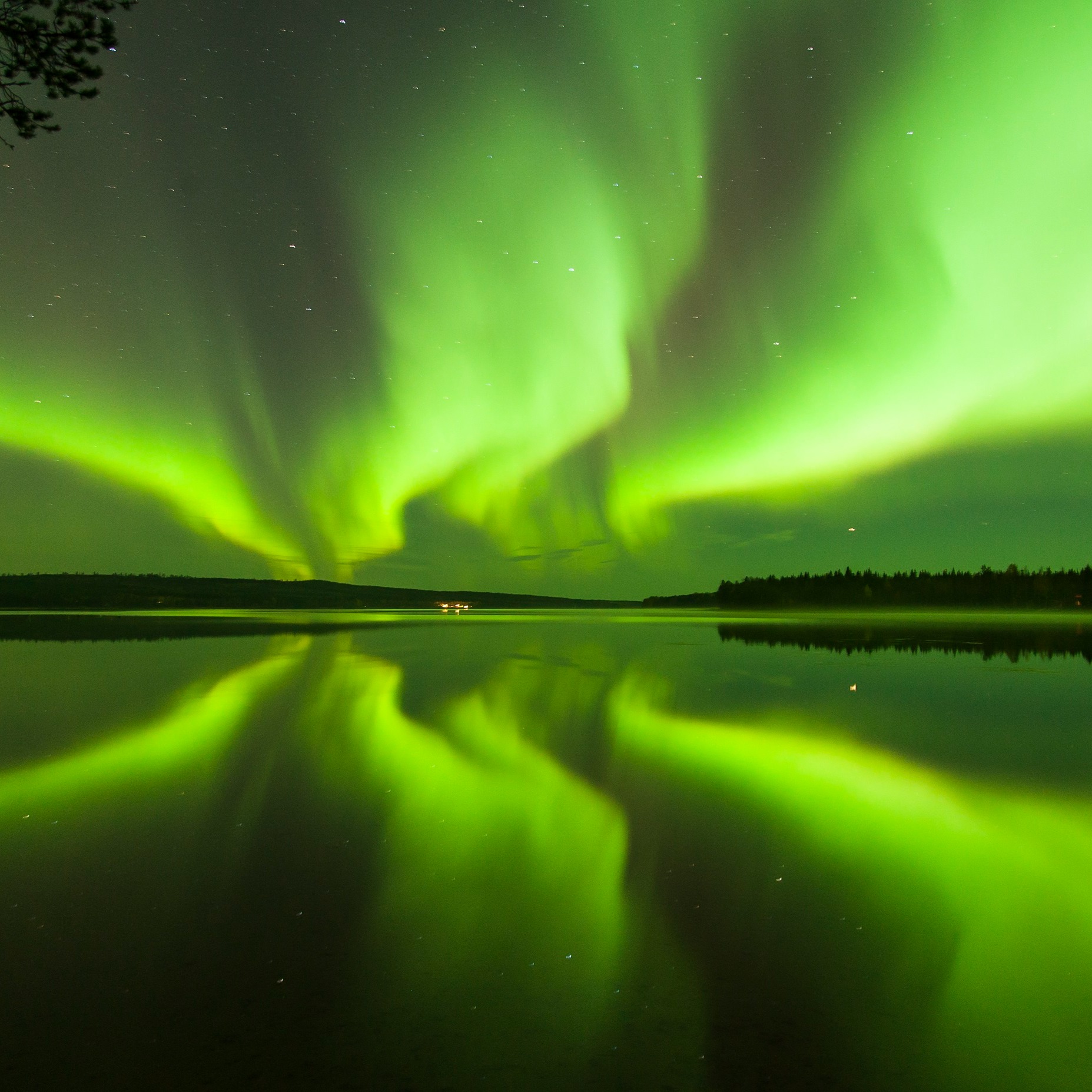 Safartica - Aurora Season 25 thumbnail