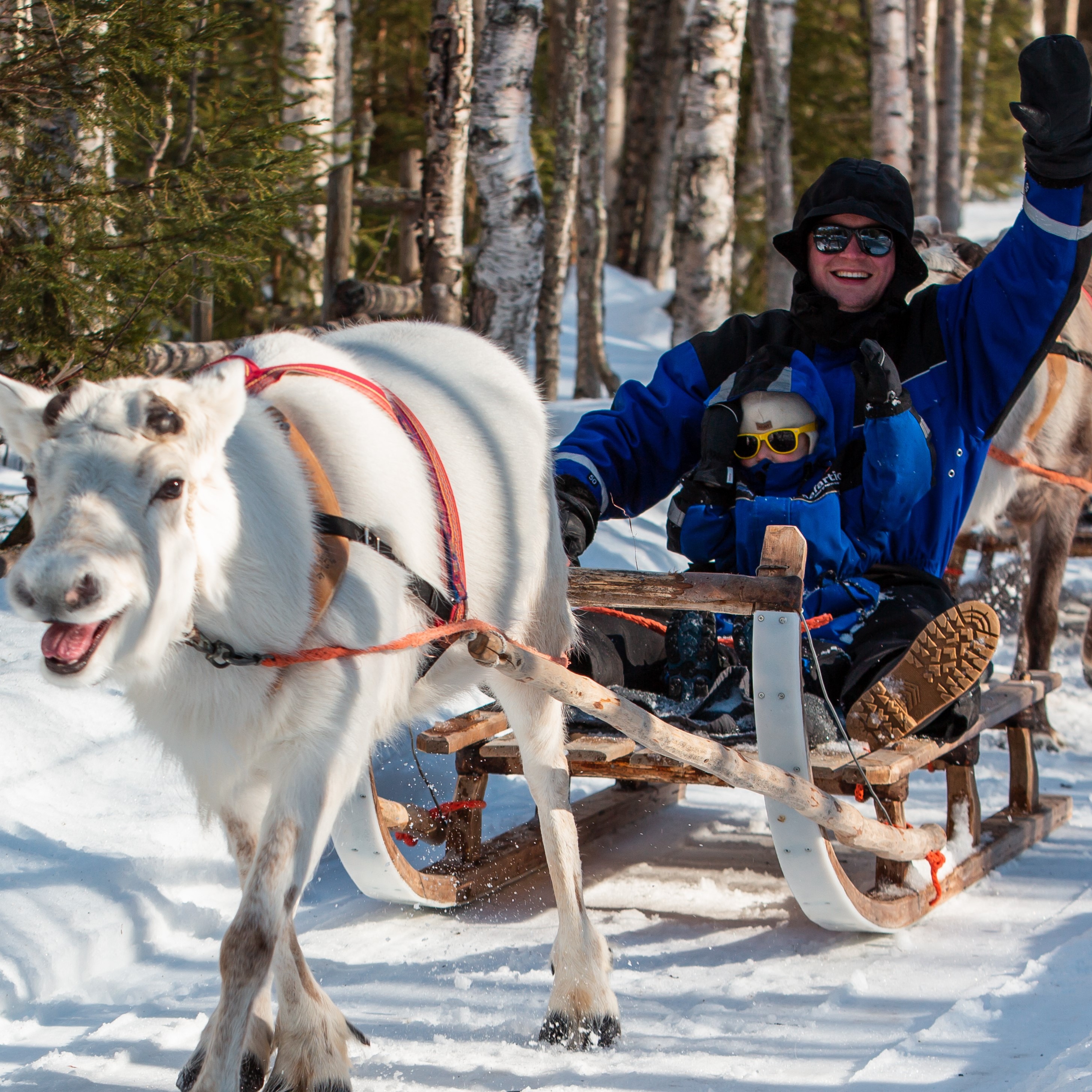 Arctic Delight – Visit to Santa’s Village and snowmobiling to reindeer farm - Safartica thumbnail