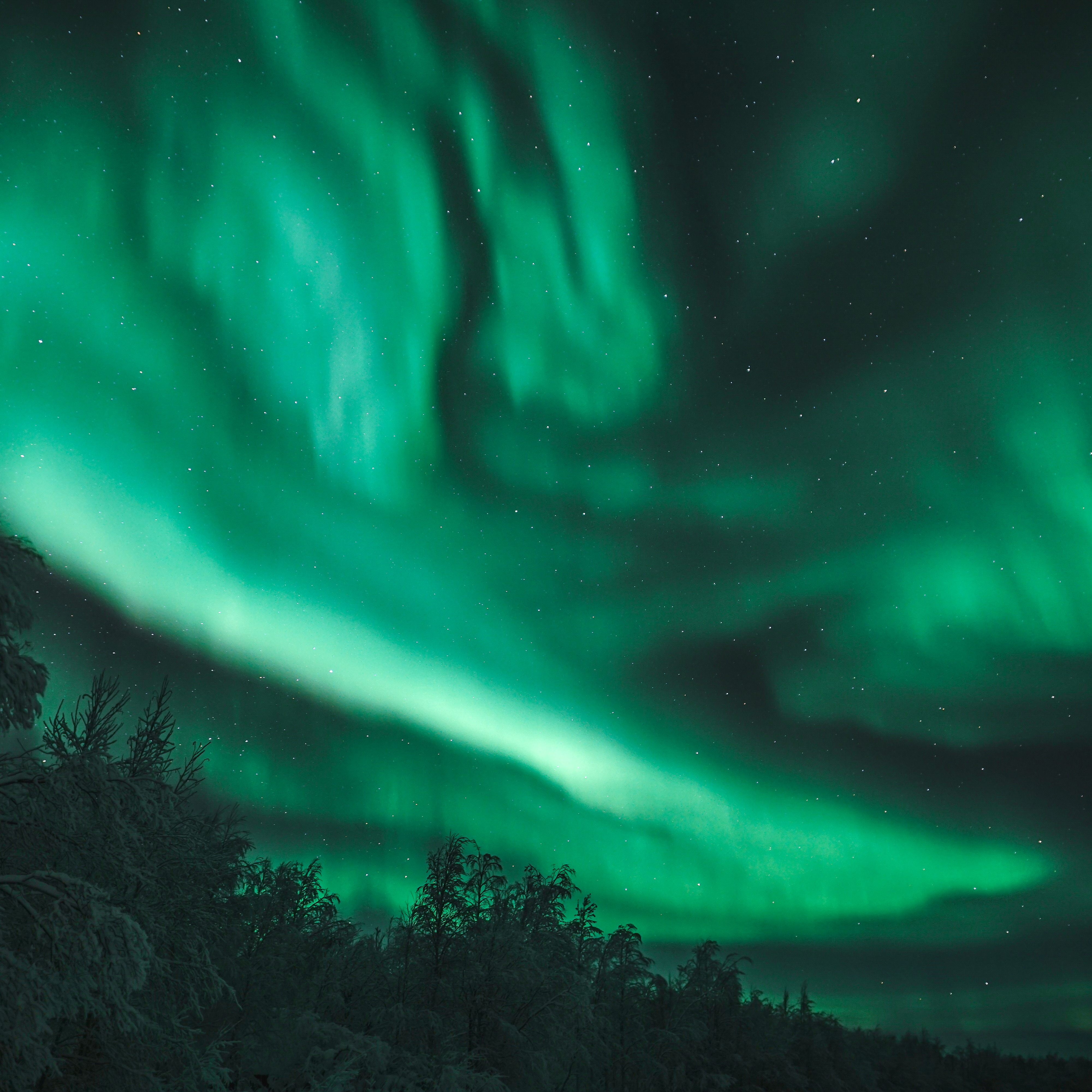 Aurora Photo Tour by Car from Saariselkä  thumbnail