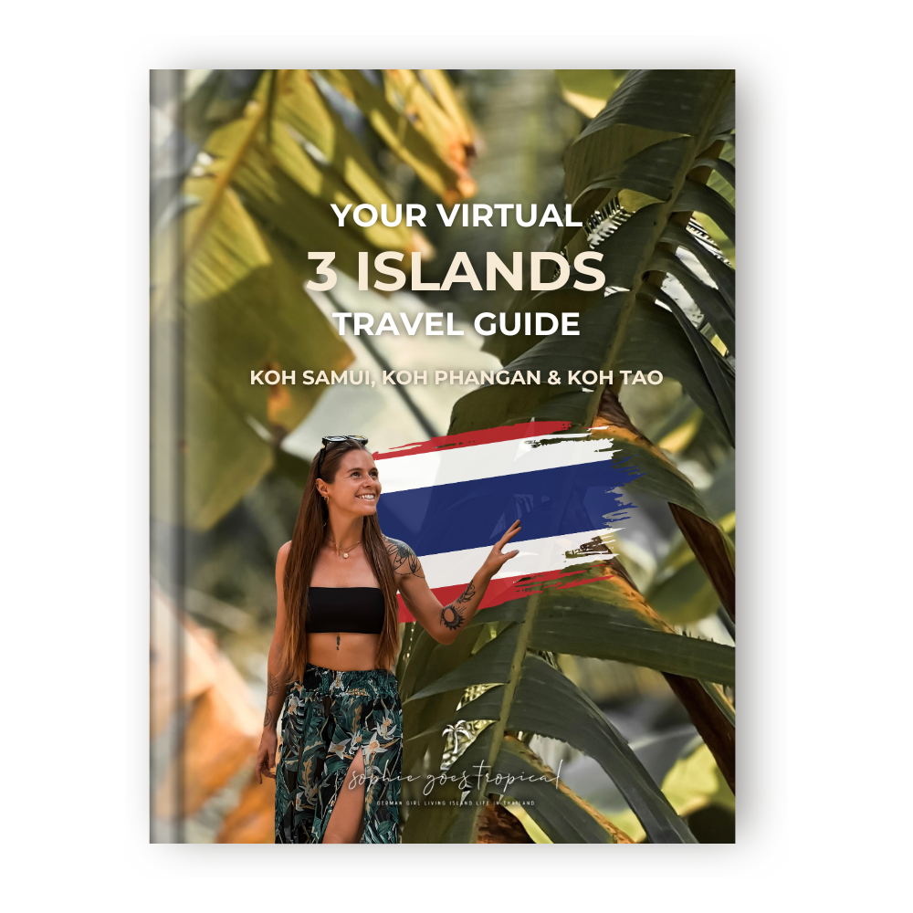 E-BOOK TRAVEL GUIDES & CUSTOMIZED ITINERARIES thumbnail