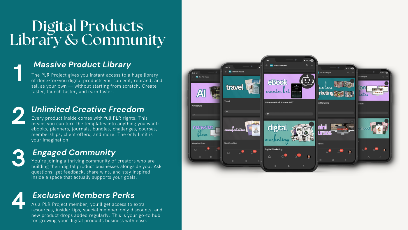 The PLR Project thumbnail