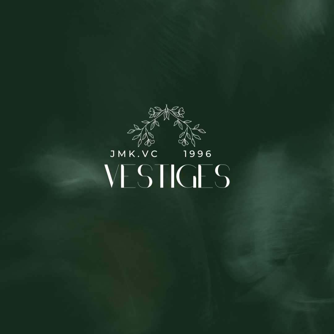 VESTIGES - Whatsapp thumbnail