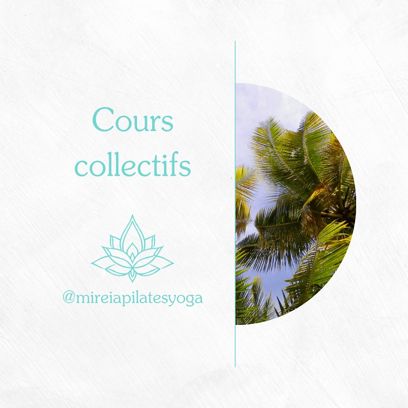 Pilates, Prénatal, Yoga et Yogalates en Guadeloupe 🌿
Cours collectifs en salle et en plein air 🌺

🌿Le Pilates s’adresse 