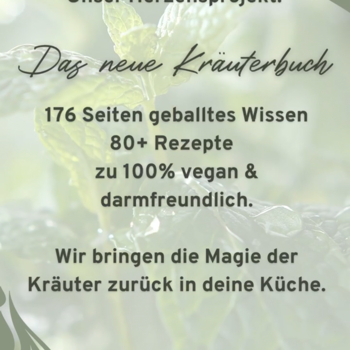 Mein Kräuter E book thumbnail
